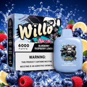 WILLO BLUEBERRY RASPBERRY LEMON 6000 PUFFS