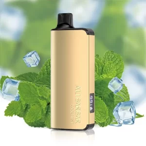 ALIBARBAR INGOT COOL MINT-9000 puffs – AusVape Direct