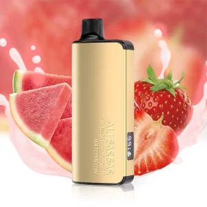 Alibarbar ingot STRAWBERRY WATERMELON 9000 puffs – AusVape Direct